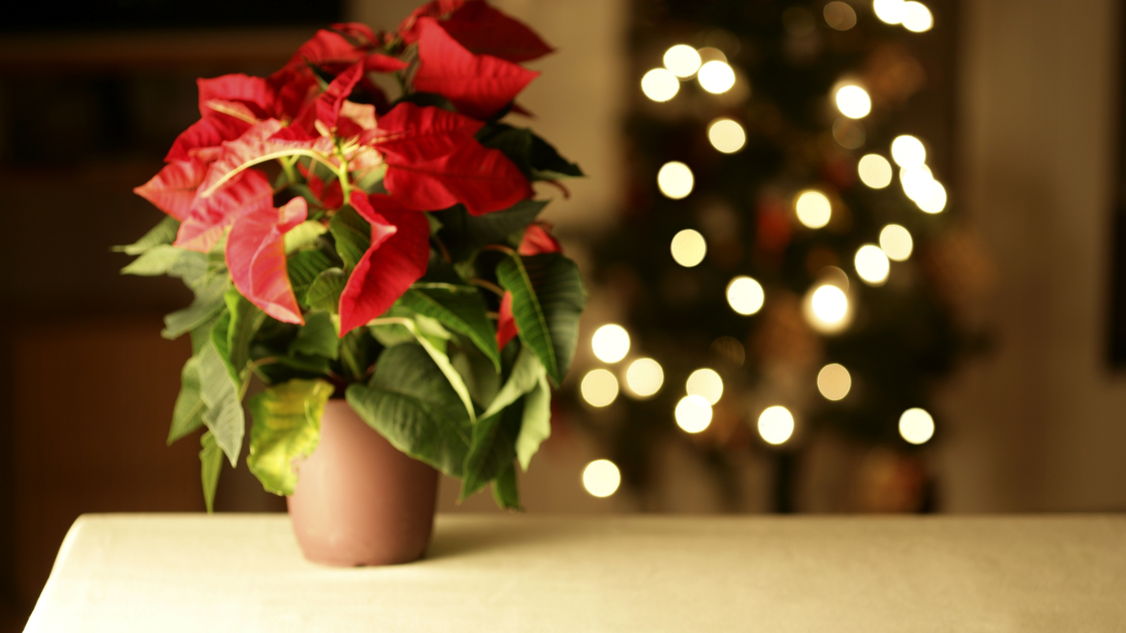 Holiday Decorating for Your Senior Living Apartment