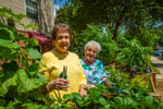 Veranda Garden 2025